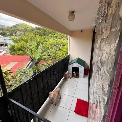Venta de propiedades con dos casas en San Juan de Dios  - Foto 15 de 19