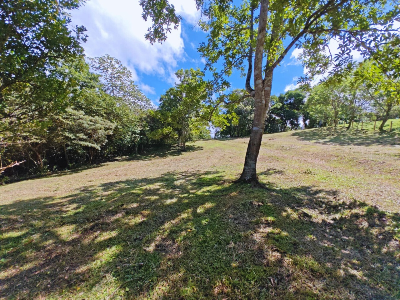 Lote en Venta - Tilaran Guanacaste - Foto 5 de 18