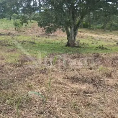 Venta de lote independiente en Ciudad Colon  - Foto 5 de 8