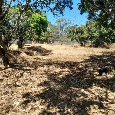 Venta de Propiedad con excelente ubicación en Piedades - Foto 15 de 23