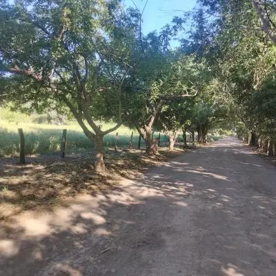 Venta de lote de 52050 m2 en Lajas de Matapalo, Santa Cruz - Foto 2 de 8
