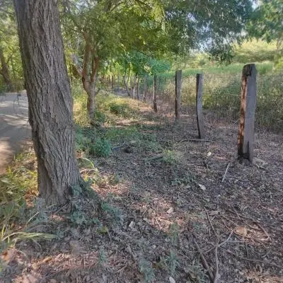 Venta de lote de 52050 m2 en Lajas de Matapalo, Santa Cruz - Foto 3 de 8