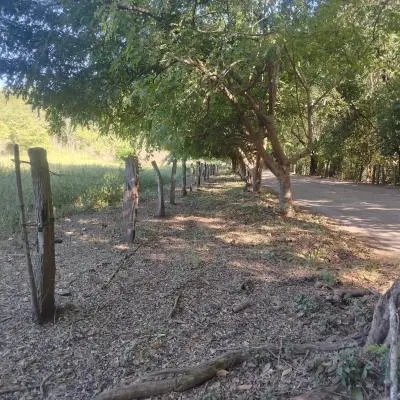 Venta de lote de 52050 m2 en Lajas de Matapalo, Santa Cruz - Foto 4 de 8