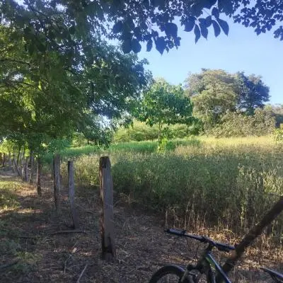 Venta de lote de 52050 m2 en Lajas de Matapalo, Santa Cruz - Foto 6 de 8