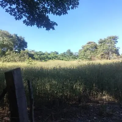 Venta de lote de 52050 m2 en Lajas de Matapalo, Santa Cruz - Foto 7 de 8